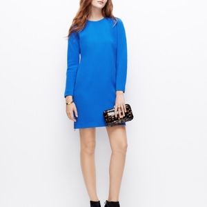 NEW Ann Taylor Blue Long Sleeve Dress w/ Side Zip